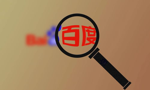 国内蜘蛛池排名